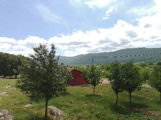 Farma & Apartmani Opg Sasa Delic كورينيتسا المظهر الخارجي الصورة
